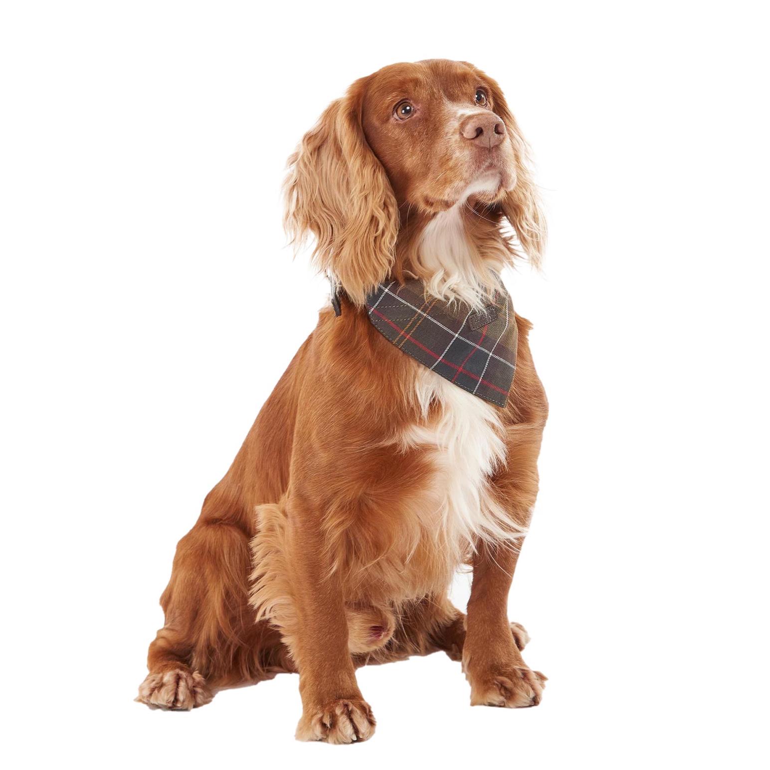 Barbour Tartan Dog Bandana